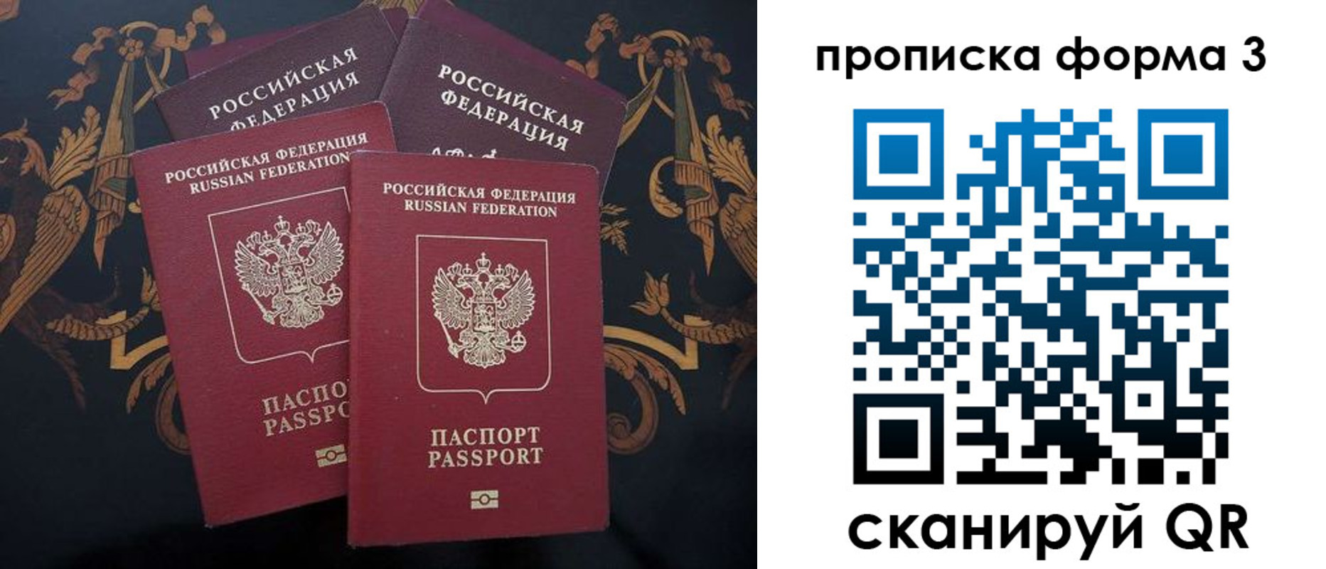 прописка законно в Каменке